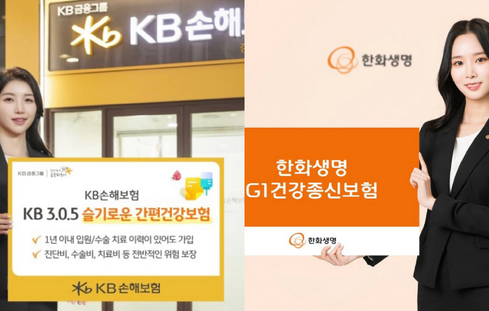 고령화시대 맞춤 '유병자 모시기' 나선 보험사들 고령화시대 맞춤 '유병자 모시기' 나선 보험사들
