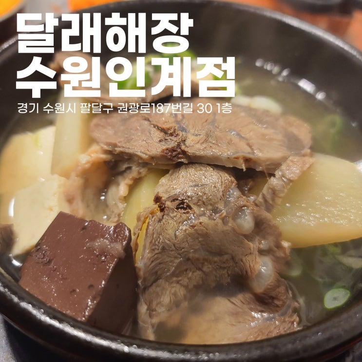  4월까지 소주 3천원, 이래서 요즘 유행하는건가? 해장국맛집 달래해장 수원인계점(24시간 영업)