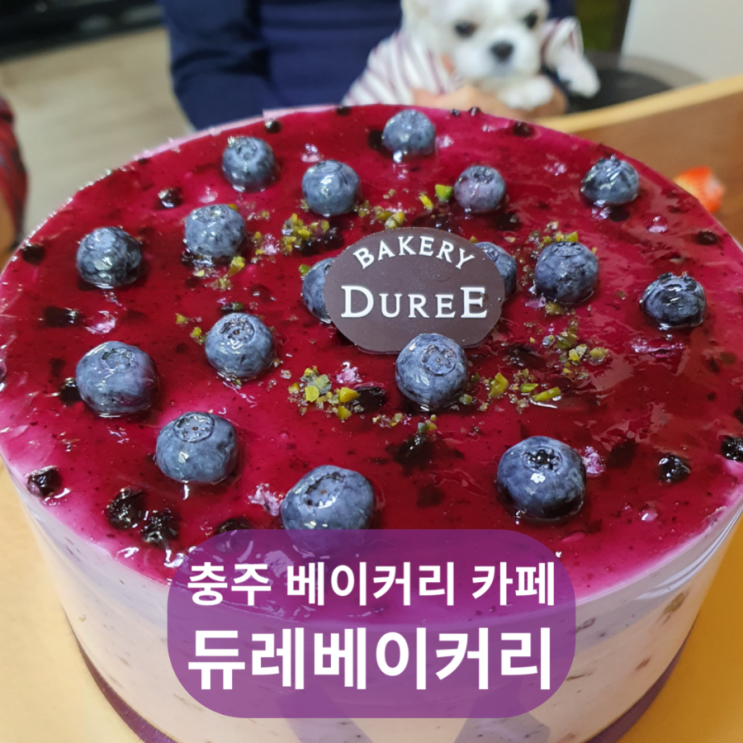  충주 호암지 인근 베이커리카페 듀레베이커리, 딸기케이크  맛집