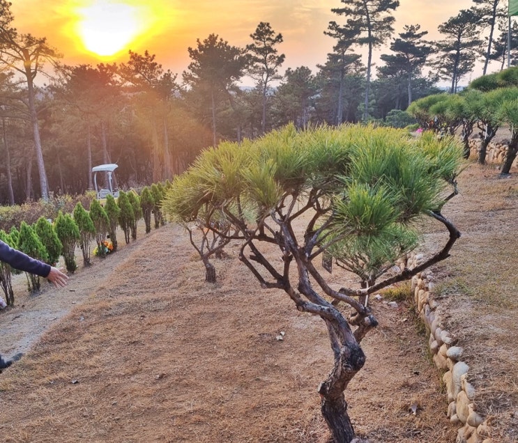  용인수목장 유형 잔디장 개인 부부 특성