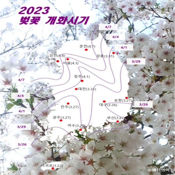 2023 벚꽃 개화시기 벚꽃 명소 수도권