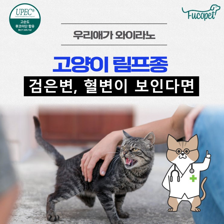  고양이 림프종 증상 / 검은변, 혈변