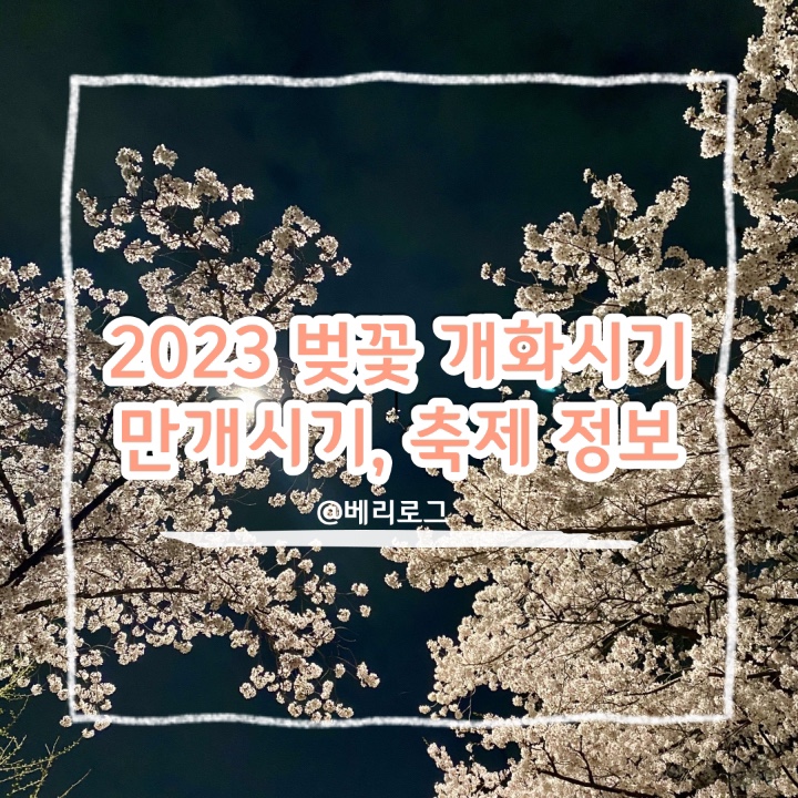 2023 벚꽃 개화시기와 만개 시기, 벚꽃 축제 정보(제주도, 진해, 대구, 하동, 경주)