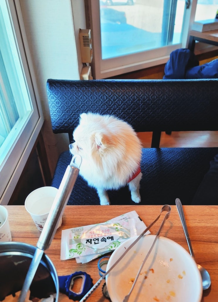  [대부도 솥밭 우리밀 칼국수] 대부도 애견동반가능식당