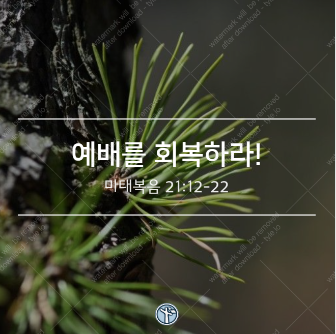  예배를 회복하라! / 마 21:12-22