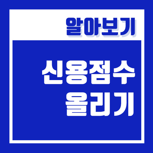  신용점수 900점 올리기 한 번씩 조회해 봐야 합니다.! (ft. 신용카드 관련된 점수)