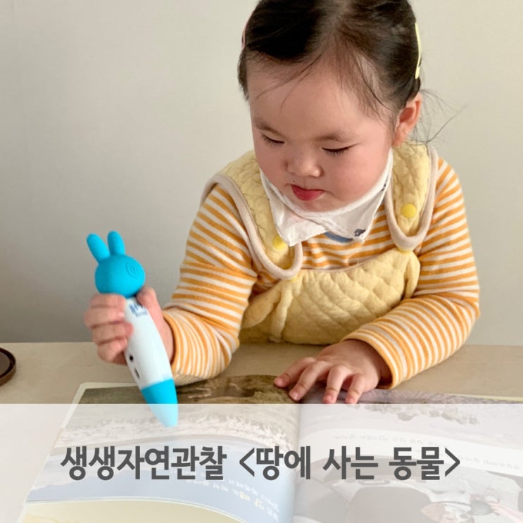  3세 자연관찰 전집 블루래빗 생생자연관찰 읽고 동물 관찰해요