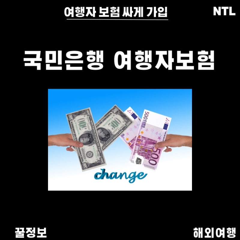 “690원”으로 여행자 보험 가입 꿀팁 | 국민은행 환전 | 300달러 | 해외여행