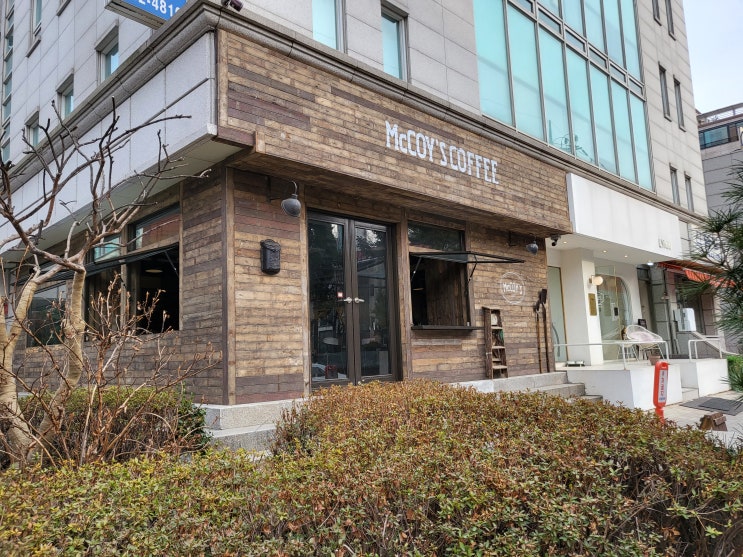  압구정 도심 속 잔잔한 음악에 힐링 되는 카페[맥코이 신사]