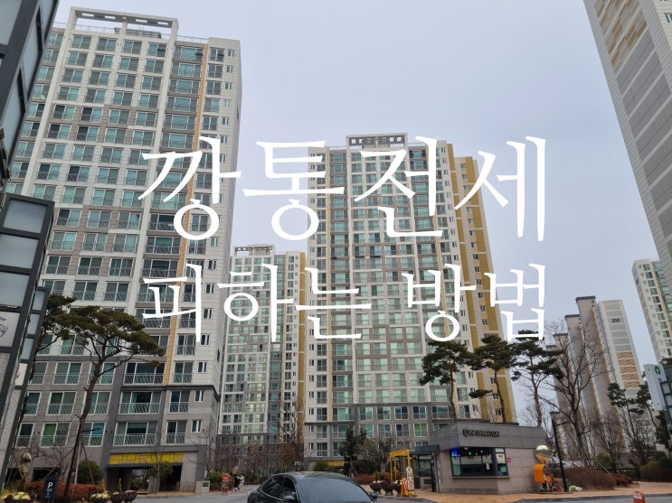  깡통전세 피하는 확실히 방법
