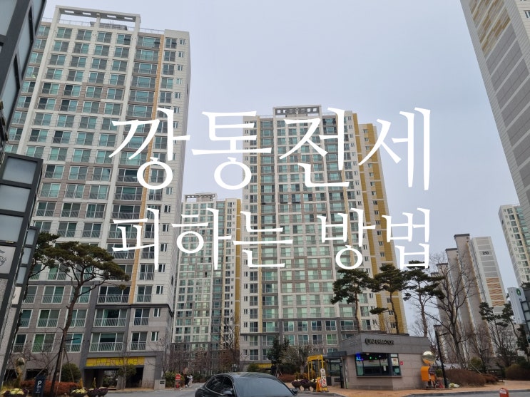 깡통전세 피하는 확실히 방법