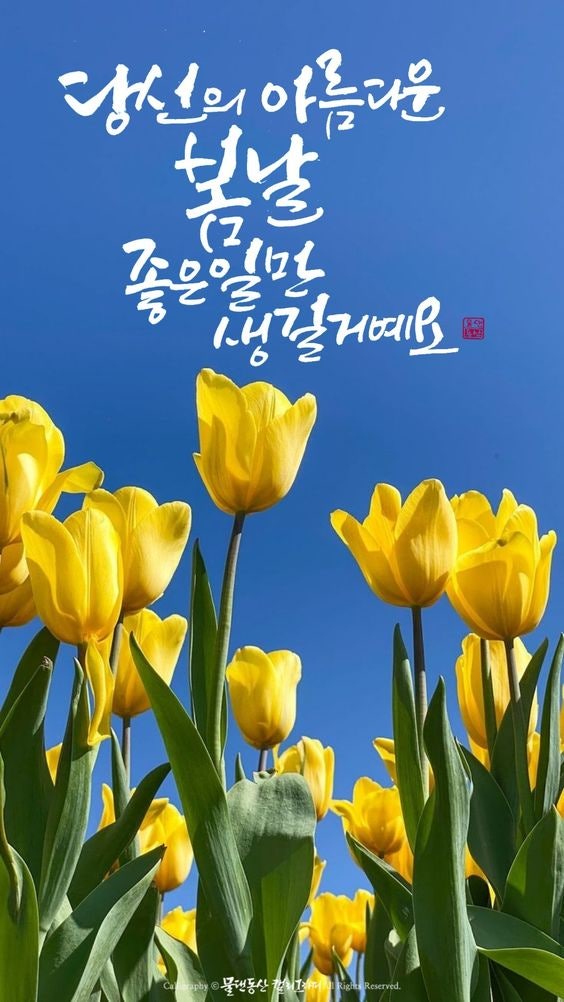[창원 성민여고 학사일정]창원중동유니시티영어