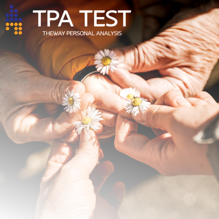  [성격테스트] 한국형 성격진단: TPA 진단 & 후기