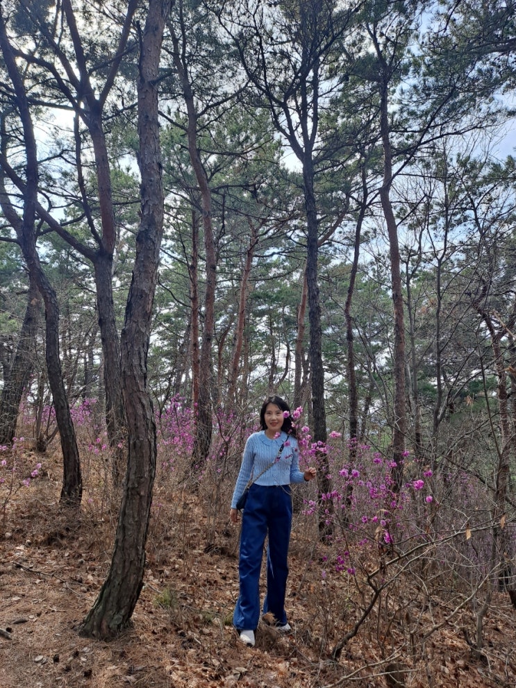  건강하게 73일차 운동 기록