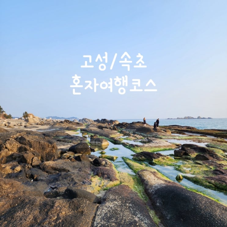  고성/속초 혼자여행코스 1박2일 자차 ft. 트리플