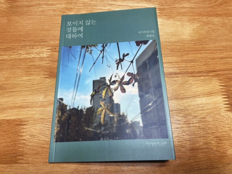  박병호 자기치유시집 <보이지 않는 것들에 대하여>