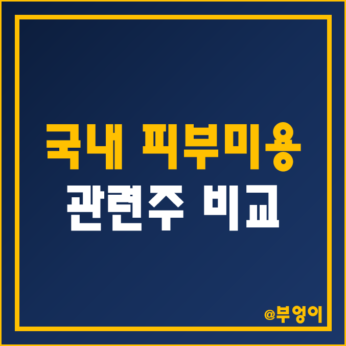 국내 피부 미용 관련주 비교 : 메디톡스 이루다 루트로닉 제이시스메디칼 휴젤 클래시스 유한양행 대웅제약 파마리서치 주식 주가 배당금 배당 수익률 시가총액 PER PBR 순위 국내 피부 미용 관련주 비교 : 메디톡스 이루다 루트로닉 제이시스메디칼 휴젤 클래시스 유한양행 대웅제약 파마리서치 주식 주가 배당금 배당 수익률 시가총액 PER PBR 순위