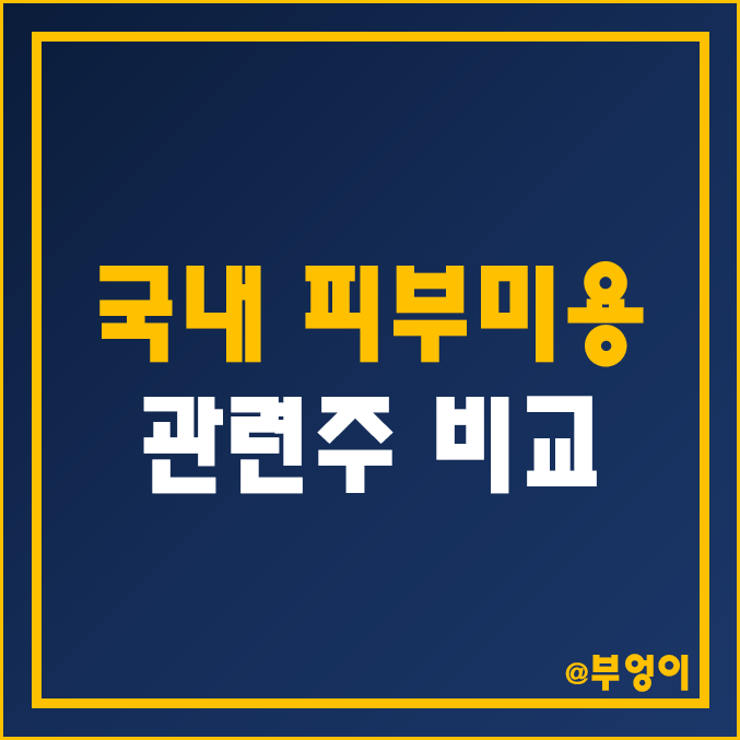 국내 피부 미용 관련주 비교 : 메디톡스 이루다 루트로닉 제이시스메디칼 휴젤 클래시스 유한양행 대웅제약 파마리서치 주식 주가 배당금 배당 수익률 시가총액 PER PBR 순위