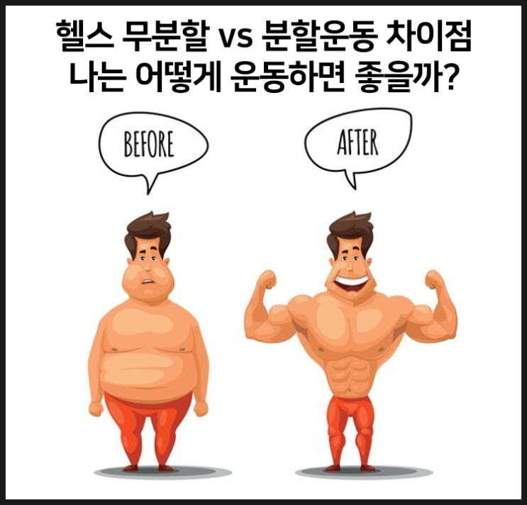  헬스 분할 vs 무분할 어떻게 하면 좋을까?