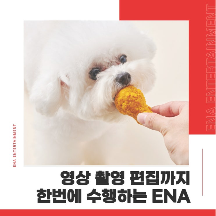  드론, 사진, 영상 촬영 및 편집까지 한번에 수행하는 ENA 기획