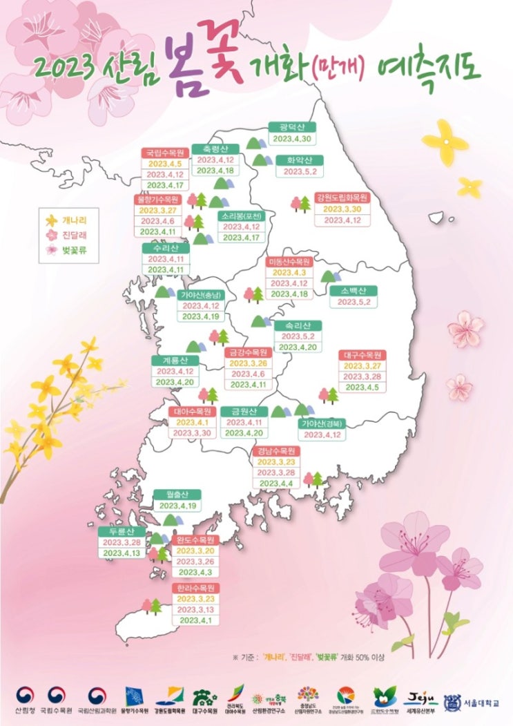  2003년 벚꽃 개화시기 및 가볼 만한 벚꽃 명소