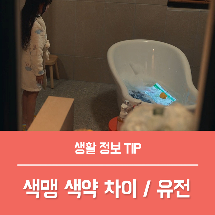  색맹 색약 차이 더글로리 적녹색약 유전 총정리!
