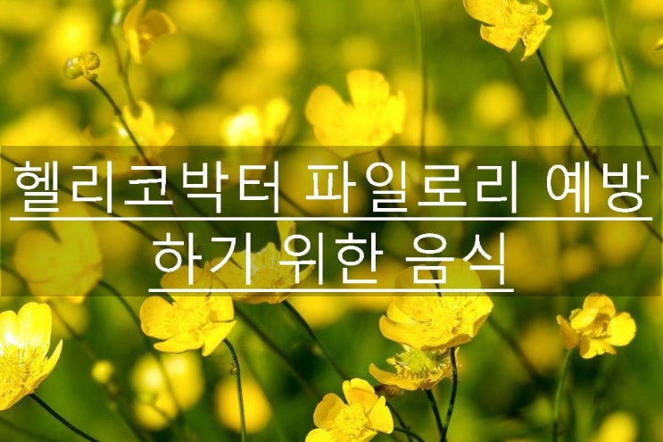  헬리코박터 파일로리 예방하기 위한 음식