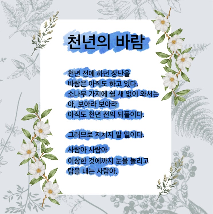 천년의 바람 시 욕심을 버리지 못할 때 추천하는 시 (ft. 천녀의 바람, 박재삼 지음)