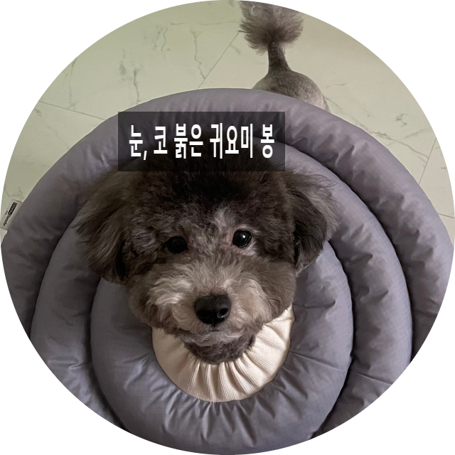  멍멍피부2-강아지 피부염 검사 및 치료, 예방법등