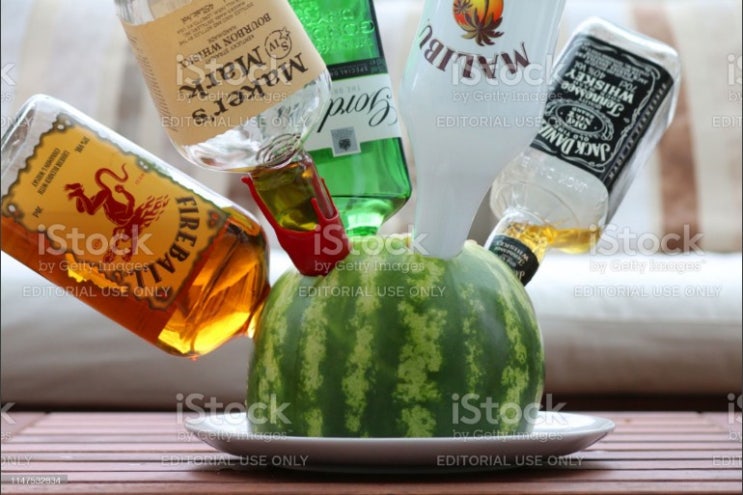  Party 파티의 재미. 보드카 알콜 수박... 곧 여름이 온다.