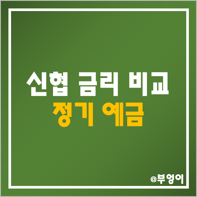 신협 특판 정기 예금 금리 높은 곳 비교 : 서울 부산 울산 천안 춘천 대구 광주 인천 이자, 고금리 예탁금 이자율 순위