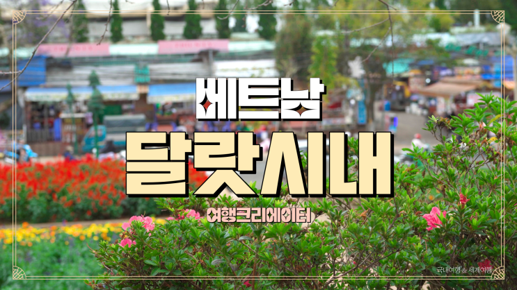  베트남 달랏 여행 | 플라워파크, 라이트 파크, 쑤안흐엉호수, 달랏 야시장까지!  꽃이 가득한 달랏시내