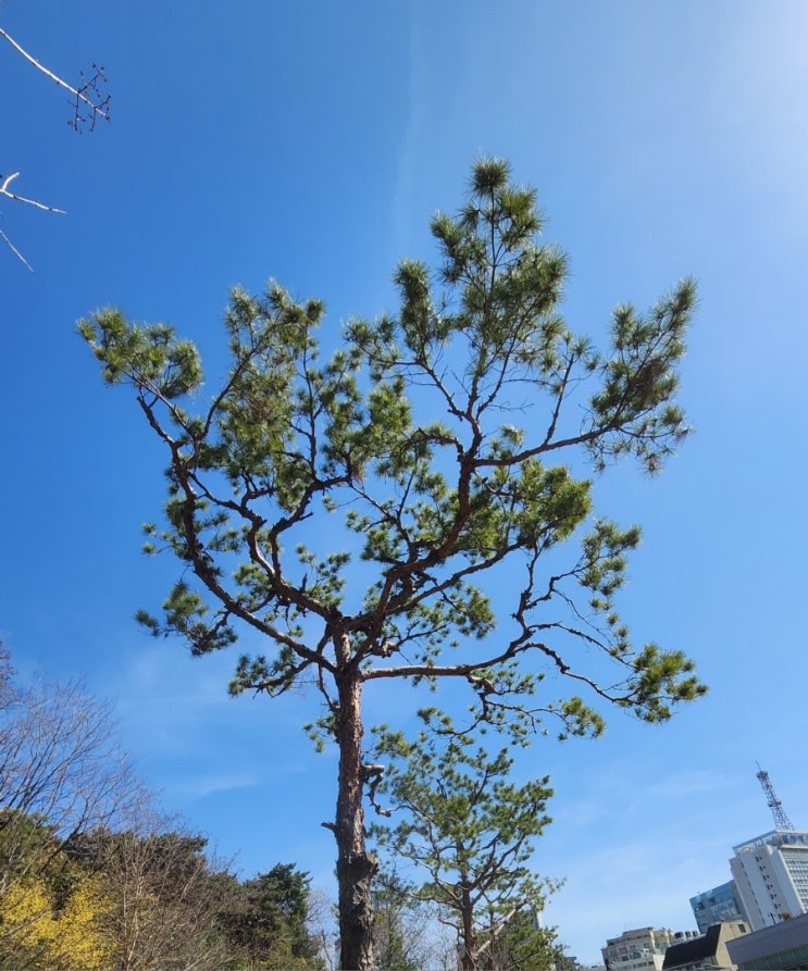 모든 문제보다 크신 하나님 모든 문제보다 크신 하나님