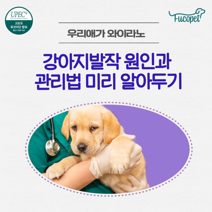  54th. 강아지 발작 원인과 관리법/ 토닉 현상과 클로닉 현상