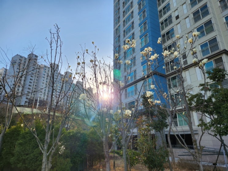  3월 일상 기록