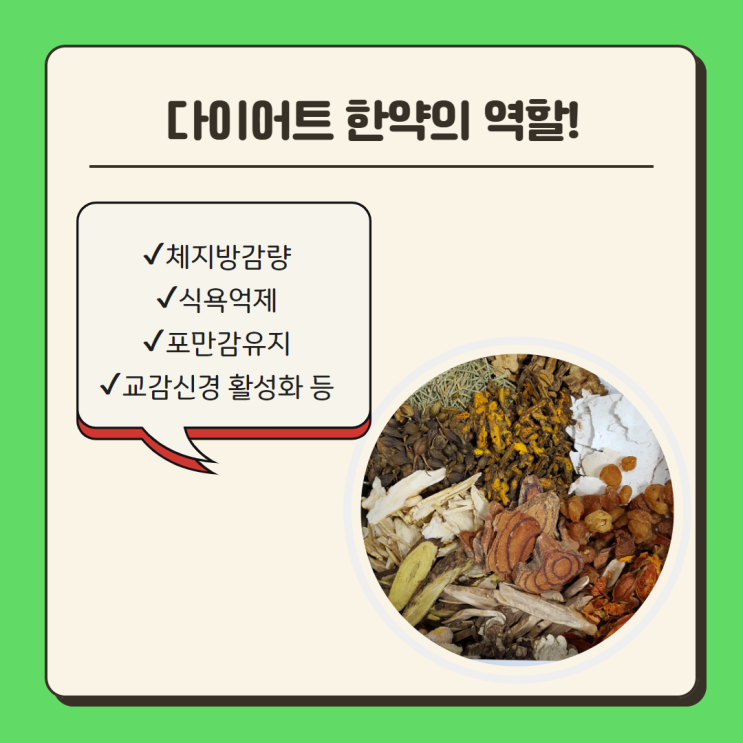  분당  다이어트한약, 체질을 개선하여 체지방분해를 돕습니다.