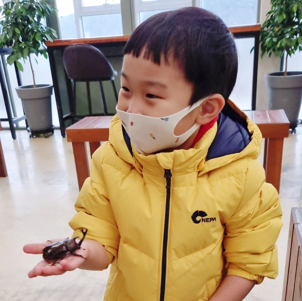  용인 곤충테마파크 곤충만져보기 유정란훔쳐오기 동물먹이주기 하루종일 놀고 온 곳