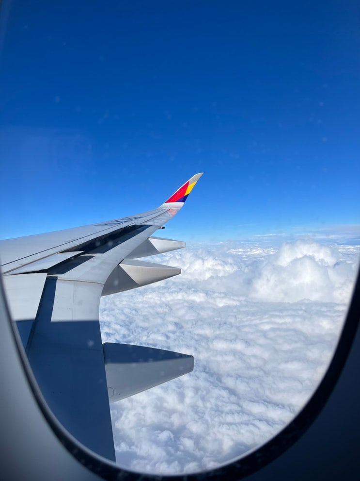  [유럽여행] 인천에서 파리까지 직항 왕복  후기/ 파리 아시아나 기내식