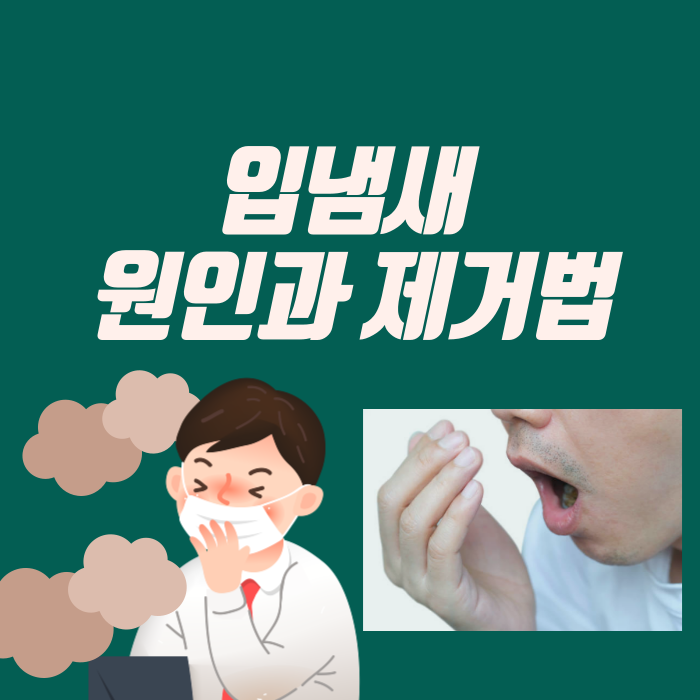  입냄새 원인과 제거법