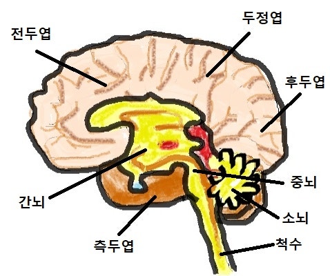 파킨슨병 - 증상 및 간호 : 네이버 블로그