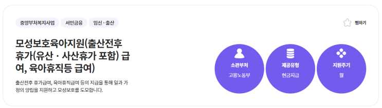  모성보호육아지원(출산전후 휴가급여,육아휴직 급여)