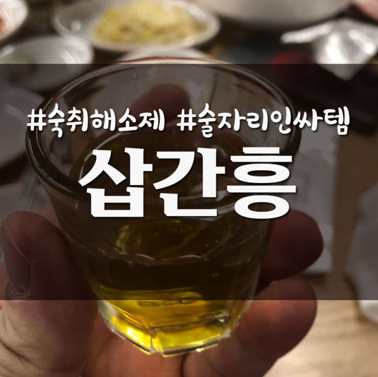  휴대하기 편한 술자리 인싸템 숙취해소제 삽간흥