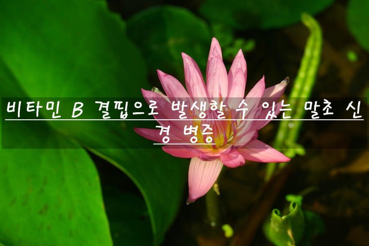  비타민 B 결핍으로 발생할 수 있는 말초 신경 병증