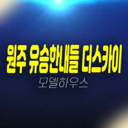 원주 혁신도시 유승한내들 더스카이 2블록 반곡동 미분양아파트 줍줍 분양가 중대형평수 고급주택 치악산,원주천조망! 샘플하우스 예약 투자문의!