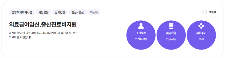  의료급여 임신,출산 진료비 지원