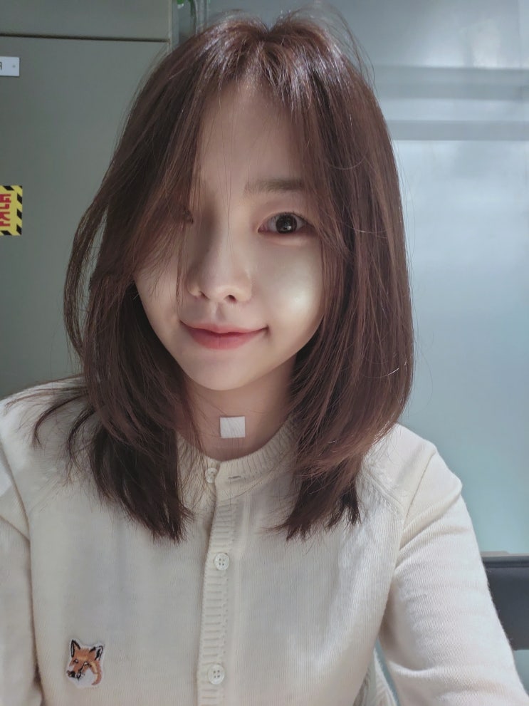  강남 청담동미용실 차홍룸 압구정점 단발 레이어드컷 염색 찐추천 후기