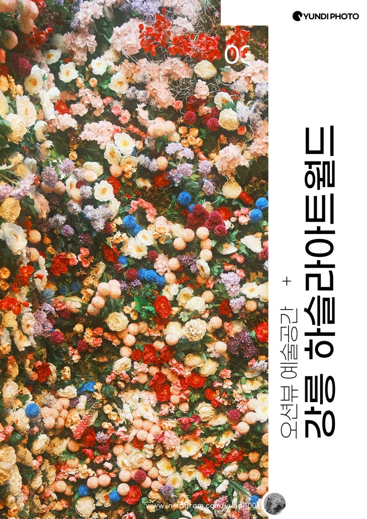 강원도 강릉 가볼만한 곳 하슬라아트월드 정동진해수욕장 동해어달막썰어횟집 애견동반 강원도 강릉 가볼만한 곳 하슬라아트월드 정동진해수욕장 동해어달막썰어횟집 애견동반