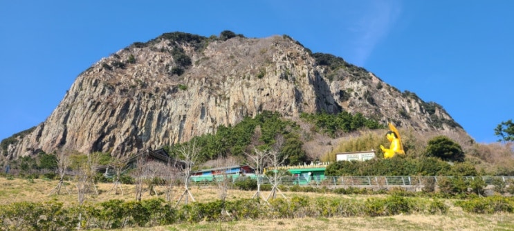  [제주도 여행] 고씨네 천지국수 |  녹차밭 서귀다원 | 산방산 유채꽃 |마지막 제주도 여행날