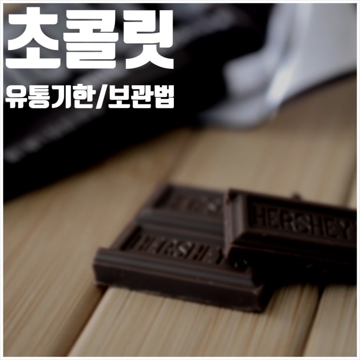  초콜릿 유통기한 보관법 정리