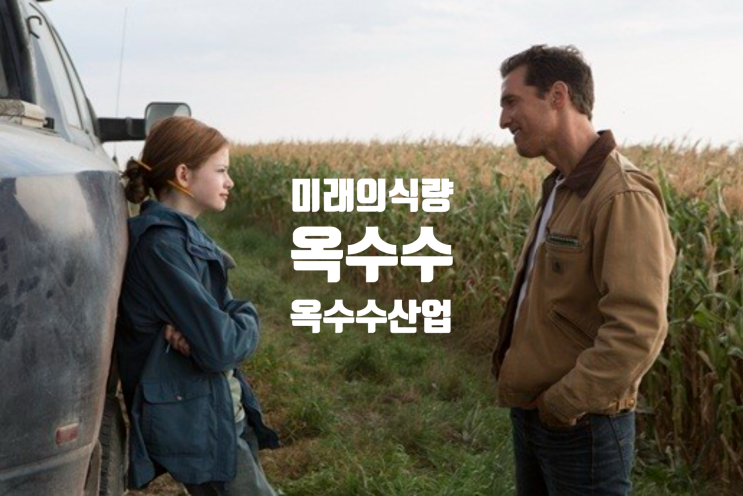  먹기만 했던 옥수수! 옥수수는 미래 식량일까? 재미있는 옥수수 산업